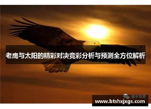 老鹰与太阳的精彩对决竞彩分析与预测全方位解析